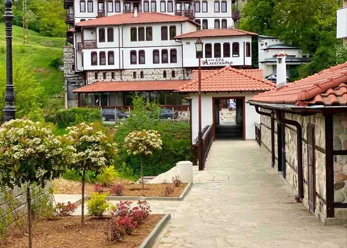 Otel Complex Aleksandar 3*